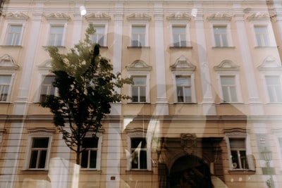 White concrete building in front of the tree
